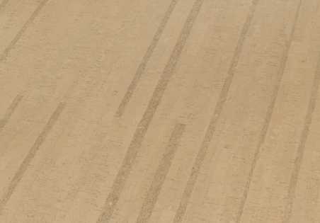 Kamštinė grindų danga Amorim Wise Lane Camel
