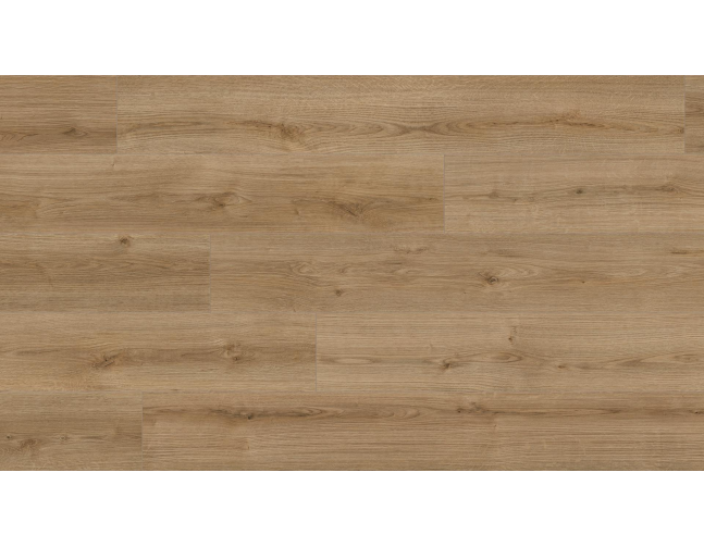 Laminuotos grindys Kaindl Natural Touch Standard 12.0 Ąžuolas Evoke Trend