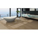 Vinilo danga OneFlor Rigid 55 XL Plank Ąžuolas English Honey