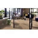 Trisluoksnis parketas Boen Chevron Ąžuolas Adagio White EB482MCD + EB482MDD