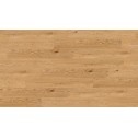 Vinilo danga Nomad Flo Dry Back Plank Elorza 2,5 mm
