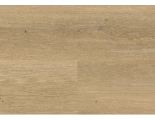 Vinilo danga Wineo 800 Wood XL Ąžuolas Stavanger Nature 2.5 MM