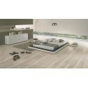 Vinilo danga Wineo 800 Wood XL Ąžuolas Dalen Lightgrey 2.5 MM