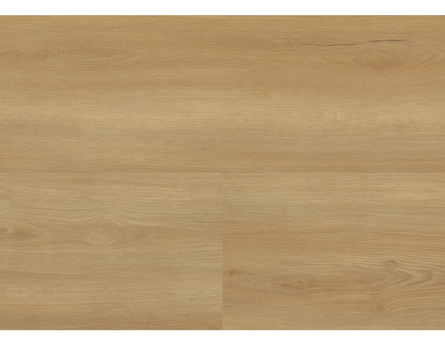 Vinilo danga Wineo 800 Wood XL Ąžuolas Bradford Honey 2.5 MM