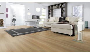 Vinilo danga Wineo 800 Wood XL Ąžuolas Bradford Honey 2.5 MM