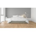Akcija! Laminuotos grindys Kaindl AquaPro Select Natural Touch Standard Plank 10.0 Ąžuolas Cremona Torro