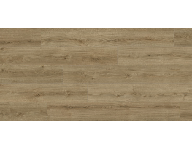 Laminuotos grindys Kaindl Natural Touch Standard 8.0 Ąžuolas