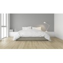 Akcija! Laminuotos grindys Kaindl AQUApro Select Natural Touch 8.0 Standard Plank Evoke Classic