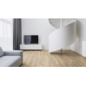 Laminuotos grindys Kaindl AQUApro Select 8.0 Standard Ąžuolas Cordoba Creme