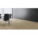 Akcija! Laminuotos grindys Kaindl AquaPro Select Natural Touch Standard Plank 12.0 Ąžuolas Evoke Trend