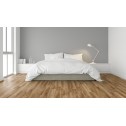 Laminuotos grindys Kaindl AQUApro Select Natural Touch 8.0 Standard Plank Ąžuolas Cordoba Noble