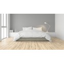 Laminuotos grindys Kaindl AquaPro Select Natural Touch Standard Plank 10.0 Ąžuolas Evoke Vanilla